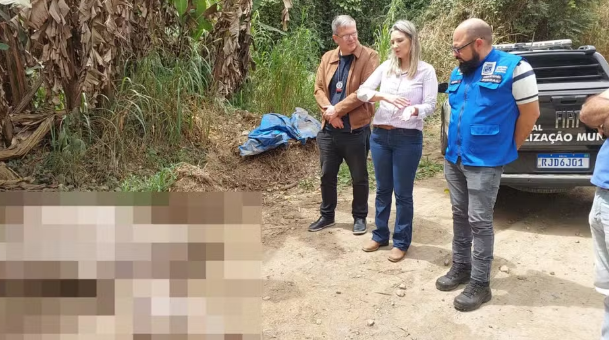 Dono de cavalo encontrado morto em estrada entre Pinheiral e Piraí é identificado pela Polícia Civil