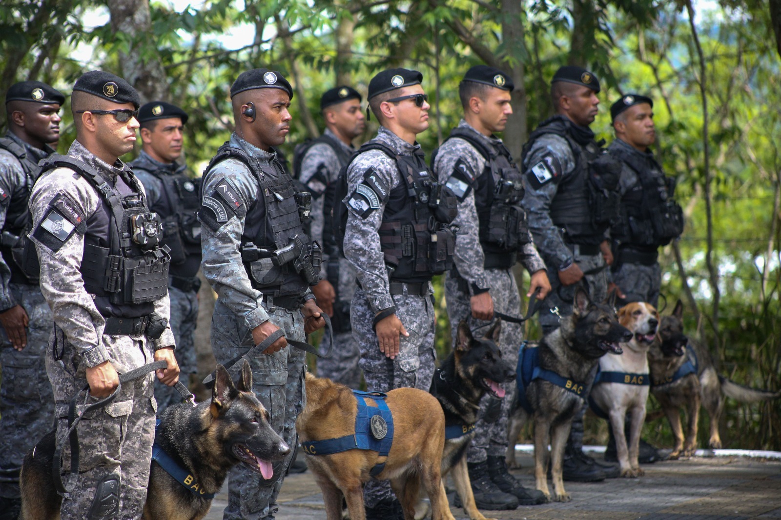 Batalhão de Ações com Cães forma primeira turma de policiais que atuarão em Volta Redonda e região