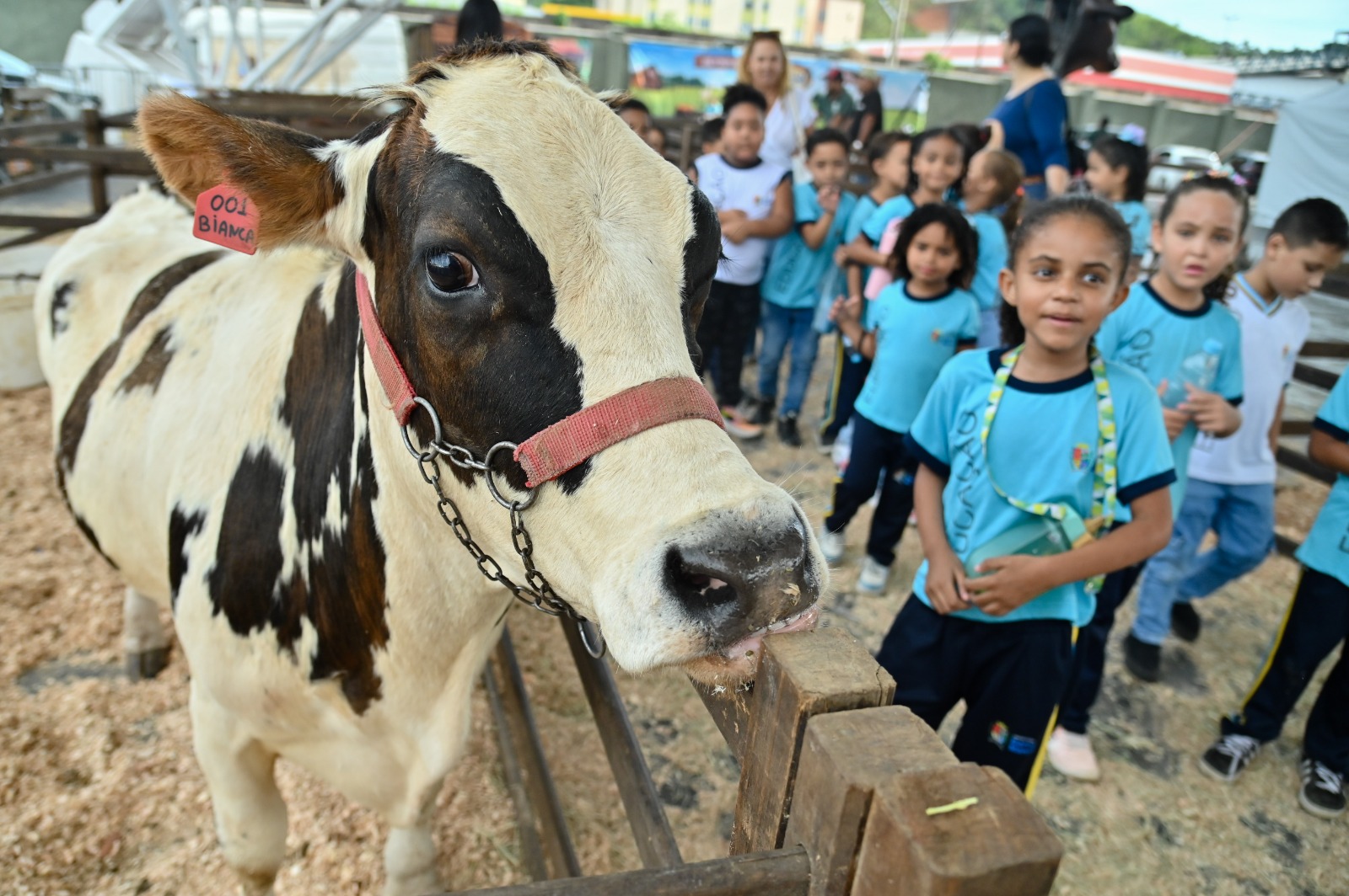 Estudantes vivem dia especial na Expo Girolando 2026, em Barra Mansa