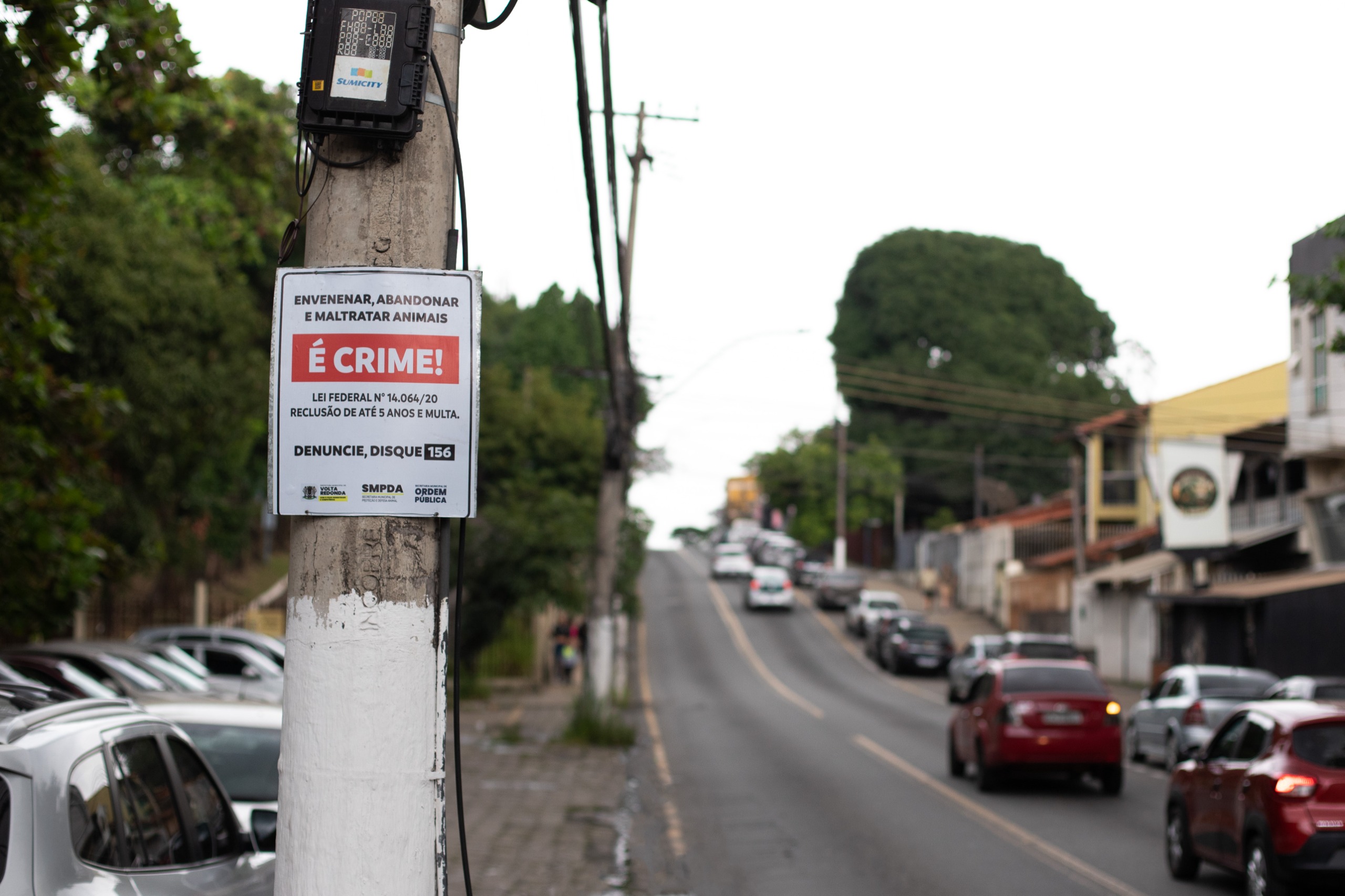 Volta Redonda inicia instalação de placas de conscientização contra abandono e maus-tratos aos animais