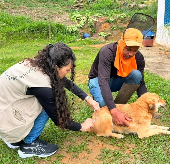 Campanha antirrábica vacina mais de 1,2 mil cães e gatos em Vargem Alegre, em Barra do Piraí