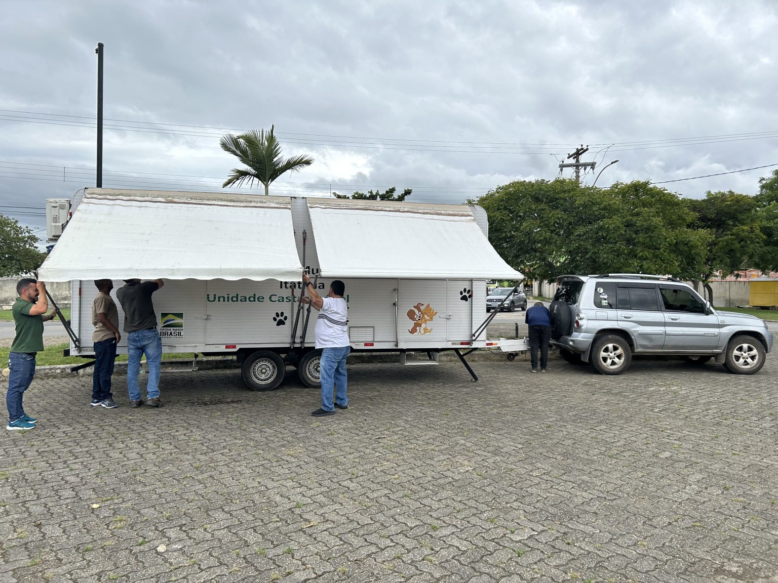 Itatiaia inicia ação de Bem-Estar Animal com castrações, atendimentos veterinários e feira de adoção