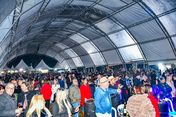 Festival de Inverno de Visconde de Mauá começa com shows gratuitos de grandes nomes da música brasileira
