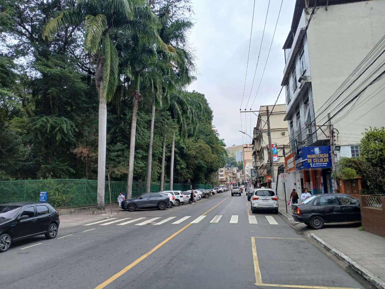 Rua Duque de Caxias será interditada no domingo para manutenção preventiva da arborização em Barra Mansa