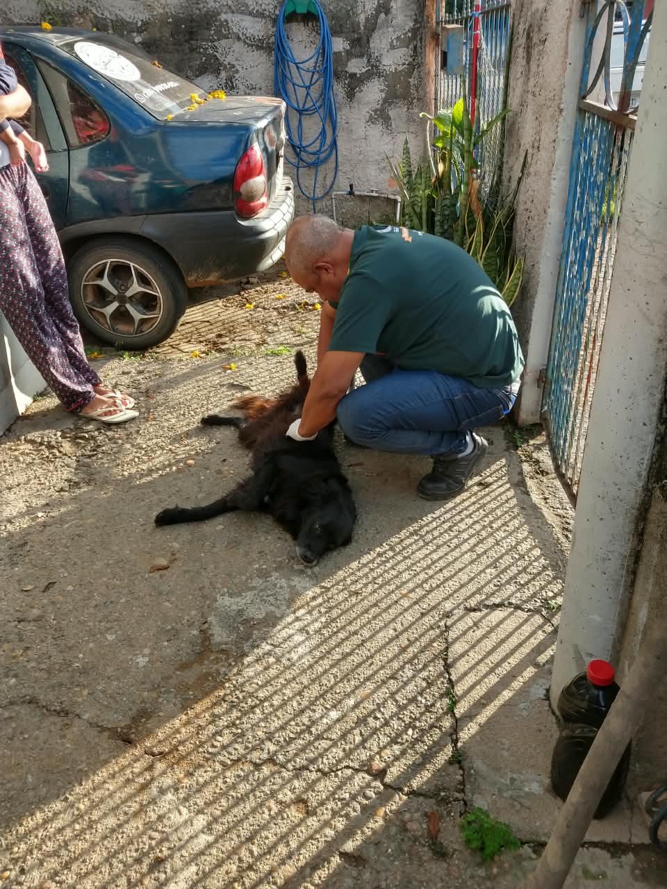 Notícia